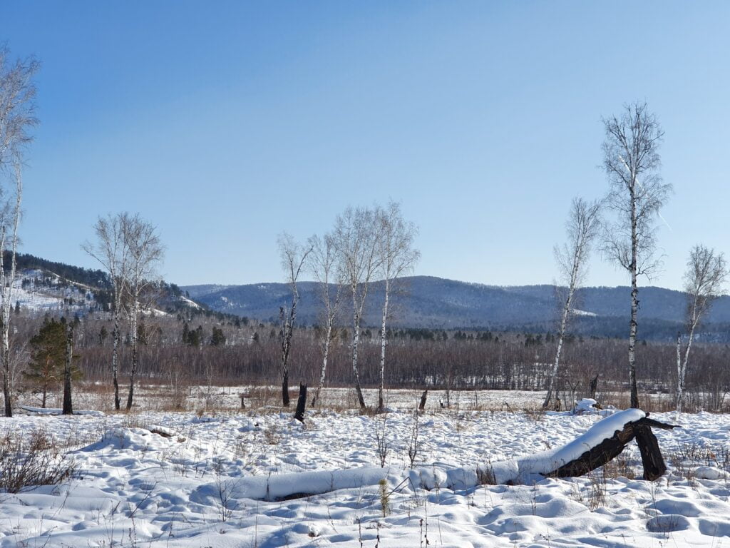 Tsagaan Sar Lunar New Year 23 Frozen Land