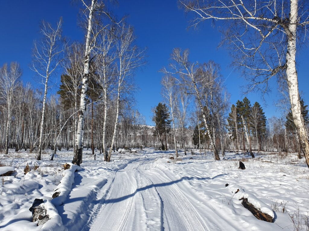 Tsagaan Sar Lunar New Year 28 Tsagaan Sar