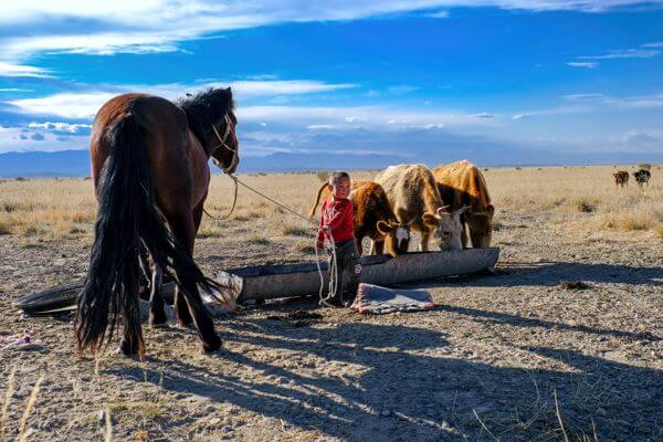 Tsagaan Sar Lunar New Year 15 Nomad Guy