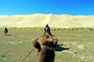 Camel Expedition