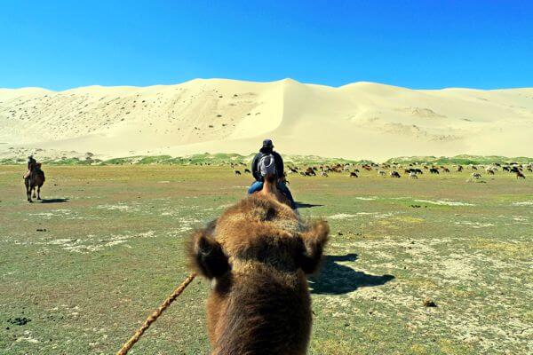 Camel Expedition