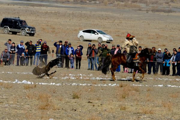 Eagle catching prey