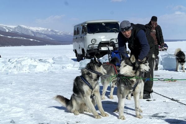 Dog Sledding