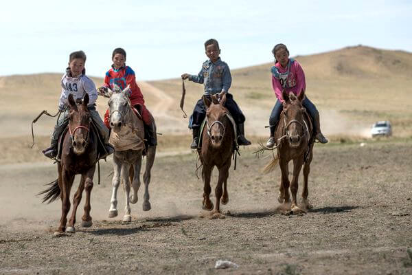 Ten Thousand Horses of Steppe