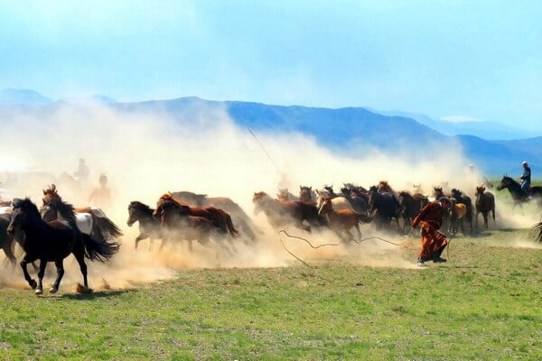 Horse Lassoing