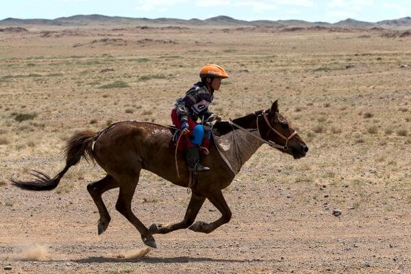 Horse Race