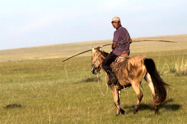 nomad