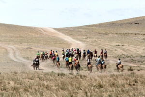 Horse Race