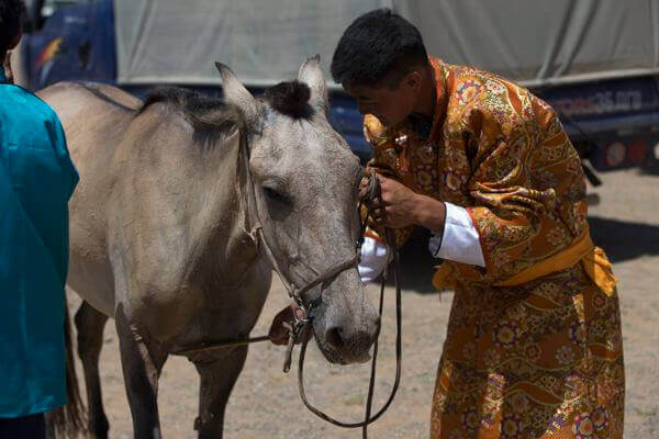 Race Horse
