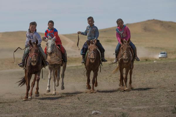 Horse Festival
