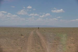 Running in Mongolian Desert