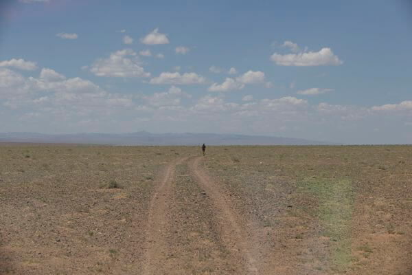 Running in Mongolian Desert