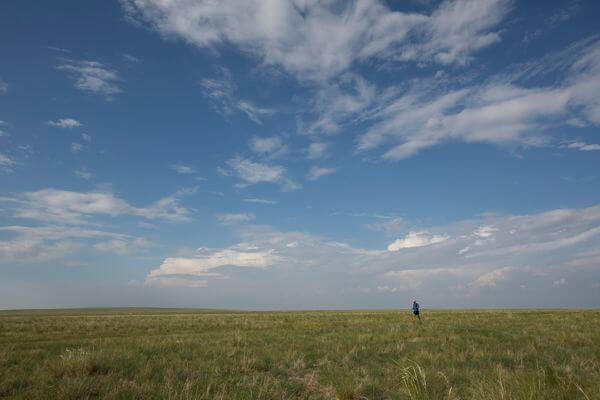 Steppe Mongolia