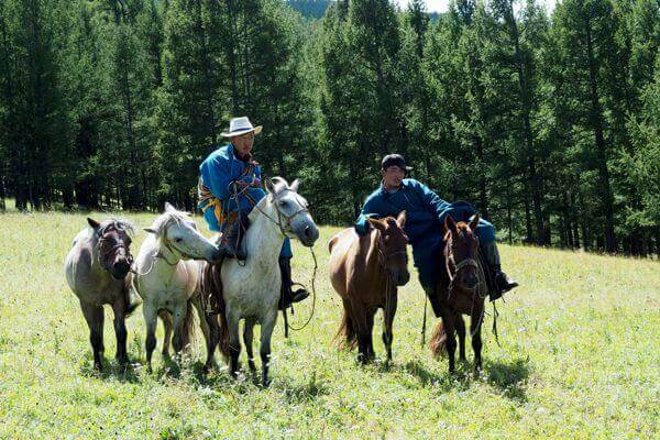 Young Herders